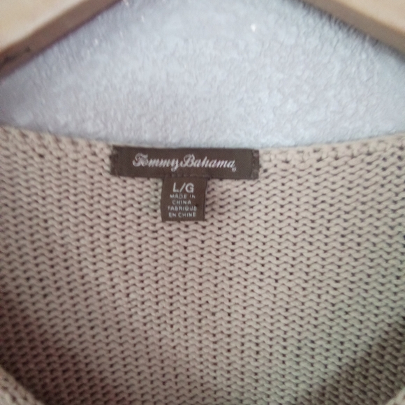 Striped V-Neck Sweater - Picture 2 of 3